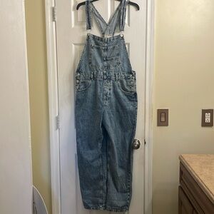 Free People We The Free Ziggy Denim Overalls